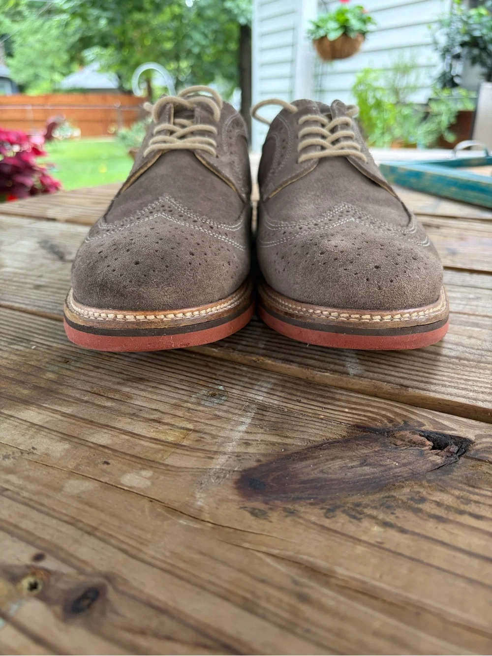 1901 Men's Suede Wingtip Oxfords in Taupe with Contrasting Sole